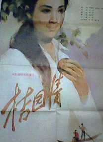 理论视频
